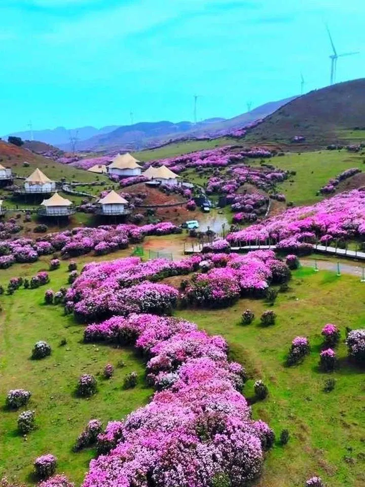 六盘水乌蒙大草原的高原草场景观
